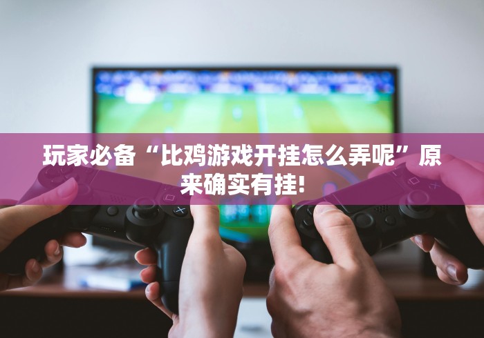 玩家必备“比鸡游戏开挂怎么弄呢”原来确实有挂!