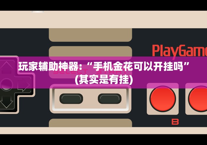 玩家辅助神器:“手机金花可以开挂吗”(其实是有挂)