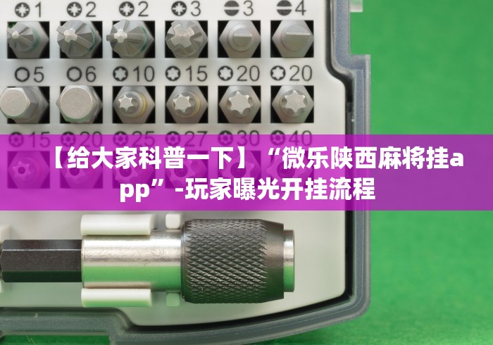 【给大家科普一下】“微乐陕西麻将挂app”-玩家曝光开挂流程