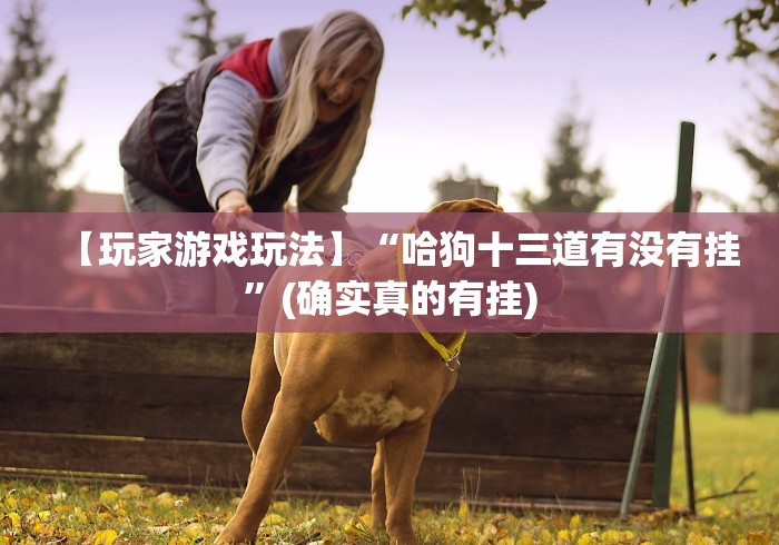 【玩家游戏玩法】“哈狗十三道有没有挂”(确实真的有挂)