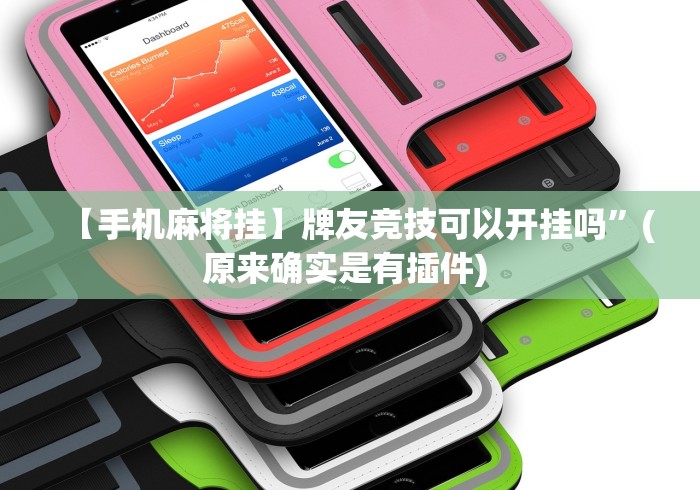 【手机麻将挂】牌友竞技可以开挂吗”(原来确实是有插件) 