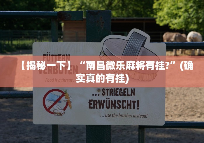 【揭秘一下】“南昌微乐麻将有挂?”(确实真的有挂)