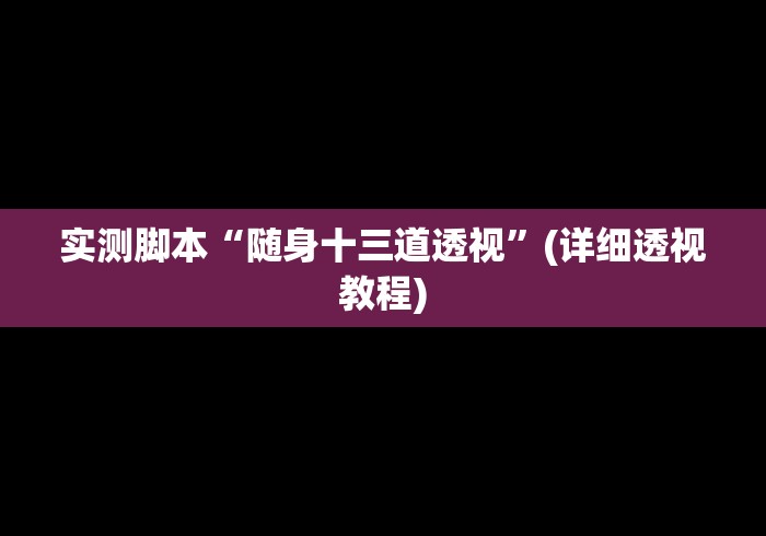 实测脚本“随身十三道透视”(详细透视教程) 实测脚本“随身十三道透视”(详细透视教程)