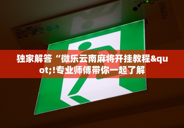 独家解答“微乐云南麻将开挂教程"!专业师傅带你一起了解 独家解答“微乐云南麻将开挂教程"!专业师傅带你一起了解