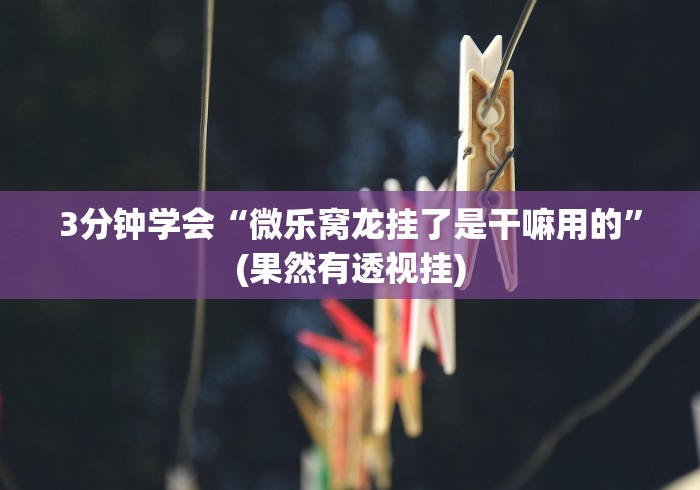 3分钟学会“微乐窝龙挂了是干嘛用的”(果然有透视挂)