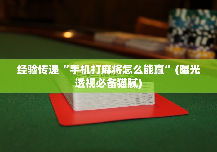 经验传递“手机打麻将怎么能赢”(曝光透视必备猫腻) 经验传递“手机打麻将怎么能赢”(曝光透视必备猫腻)