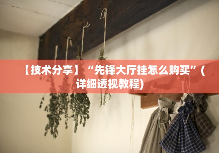 【技术分享】“先锋大厅挂怎么购买”(详细透视教程)