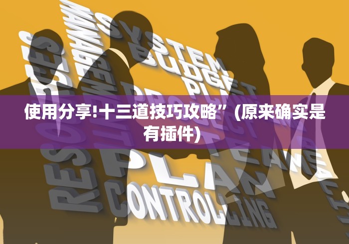 使用分享!十三道技巧攻略”(原来确实是有插件) 使用分享!十三道技巧攻略”(原来确实是有插件)