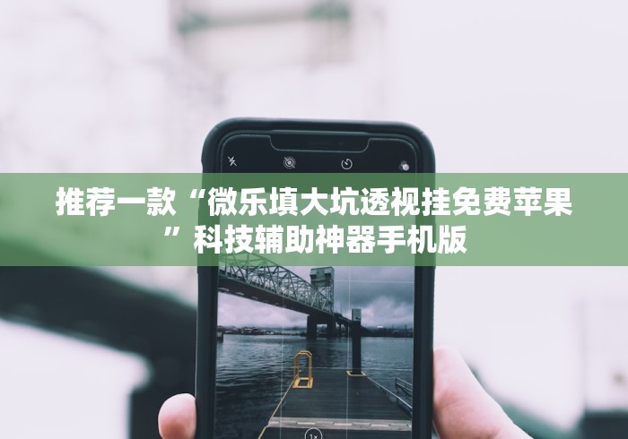 推荐一款“微乐填大坑透视挂免费苹果”科技辅助神器手机版