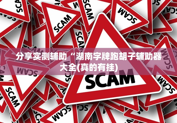 分享实测辅助“湖南字牌跑胡子辅助器大全(真的有挂)