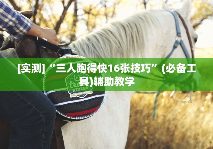 [实测]“三人跑得快16张技巧”(必备工具)辅助教学