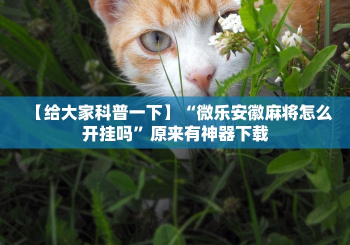 【给大家科普一下】“微乐安徽麻将怎么开挂吗”原来有神器下载