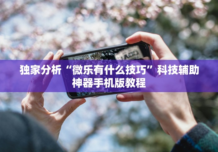独家分析“微乐有什么技巧”科技辅助神器手机版教程