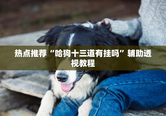 热点推荐“哈狗十三道有挂吗”辅助透视教程