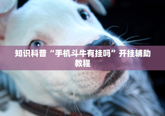 知识科普“手机斗牛有挂吗”开挂辅助教程 知识科普“手机斗牛有挂吗”开挂辅助教程