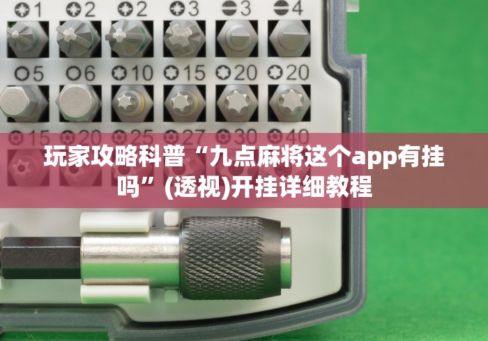 玩家攻略科普“九点麻将这个app有挂吗”(透视)开挂详细教程