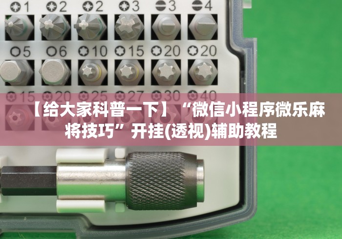 【给大家科普一下】“微信小程序微乐麻将技巧”开挂(透视)辅助教程 【给大家科普一下】“微信小程序微乐麻将技巧”开挂(透视)辅助教程