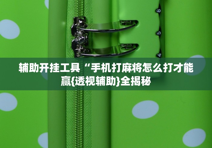 辅助开挂工具“手机打麻将怎么打才能赢{透视辅助}全揭秘 辅助开挂工具“手机打麻将怎么打才能赢{透视辅助}全揭秘