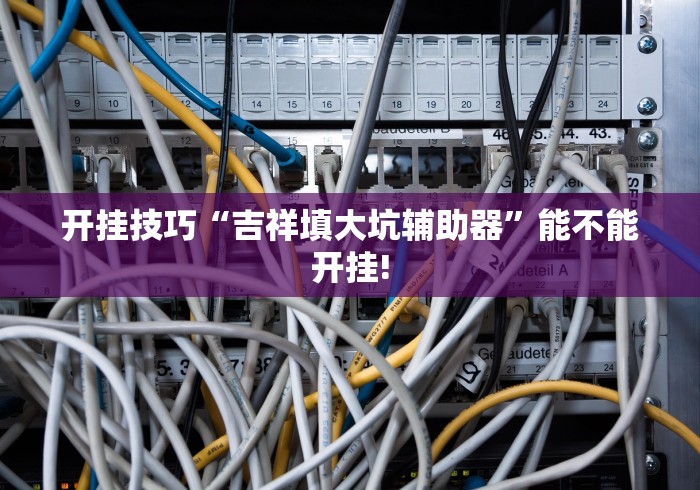 开挂技巧“吉祥填大坑辅助器”能不能开挂!