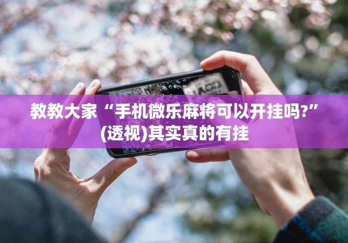 教教大家“手机微乐麻将可以开挂吗?”(透视)其实真的有挂 教教大家“手机微乐麻将可以开挂吗?”(透视)其实真的有挂