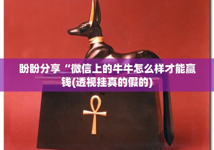 盼盼分享“微信上的牛牛怎么样才能赢钱(透视挂真的假的)