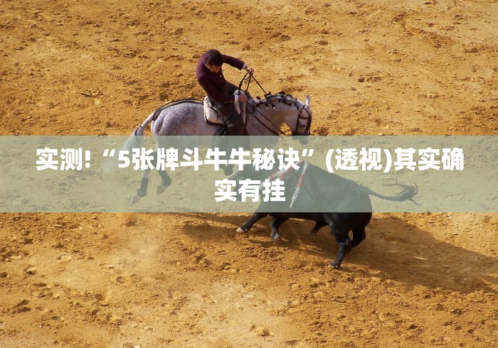 实测!“5张牌斗牛牛秘诀”(透视)其实确实有挂