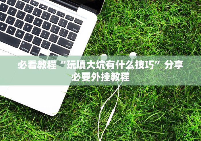 必看教程“玩填大坑有什么技巧”分享必要外挂教程