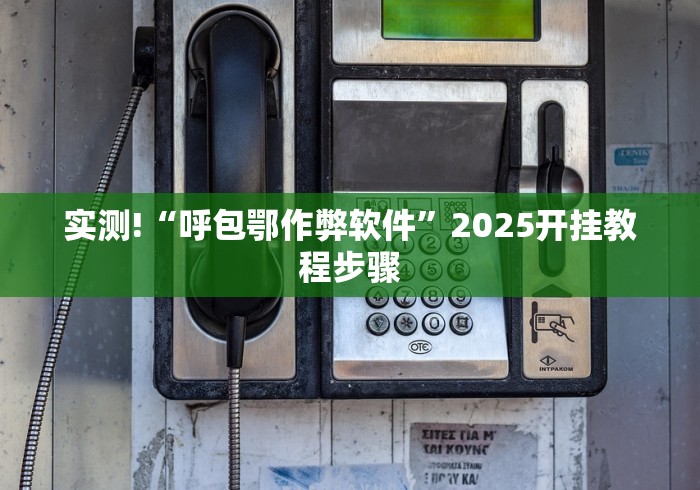 实测!“呼包鄂作弊软件”2025开挂教程步骤