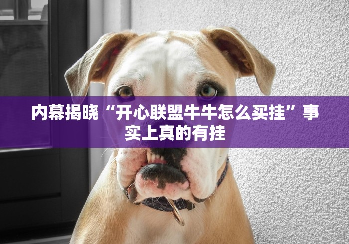 内幕揭晓“开心联盟牛牛怎么买挂”事实上真的有挂