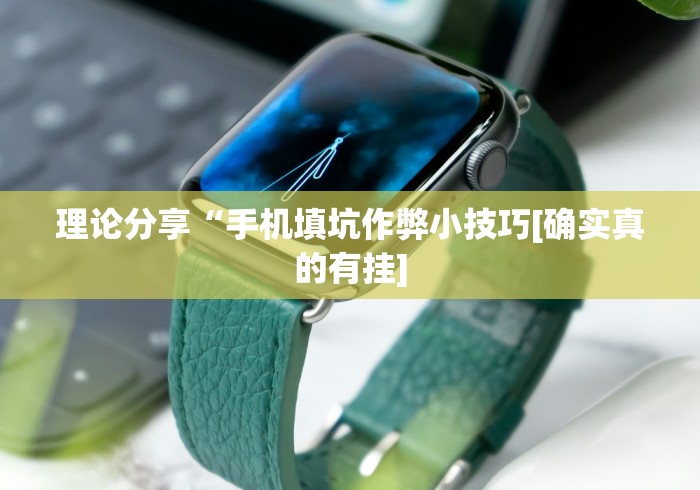 理论分享“手机填坑作弊小技巧[确实真的有挂]