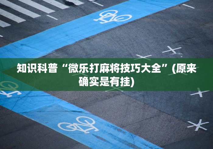知识科普“微乐打麻将技巧大全”(原来确实是有挂)