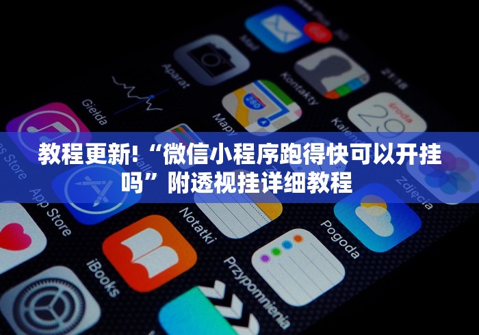 教程更新!“微信小程序跑得快可以开挂吗”附透视挂详细教程 