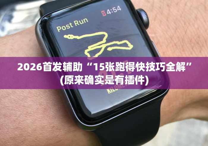 2026首发辅助“15张跑得快技巧全解”(原来确实是有插件)