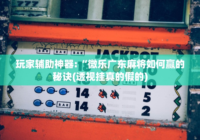 玩家辅助神器:“微乐广东麻将如何赢的秘诀(透视挂真的假的)