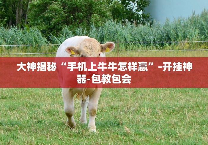 大神揭秘“手机上牛牛怎样赢”-开挂神器-包教包会