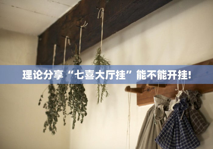 理论分享“七喜大厅挂”能不能开挂!