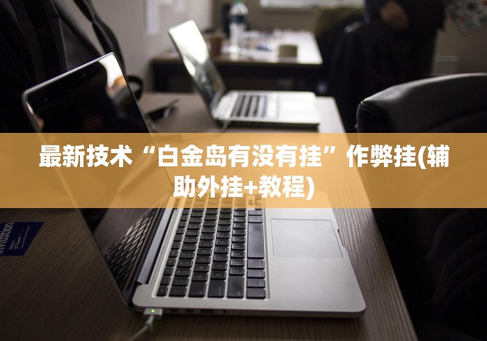 最新技术“白金岛有没有挂”作弊挂(辅助外挂+教程)