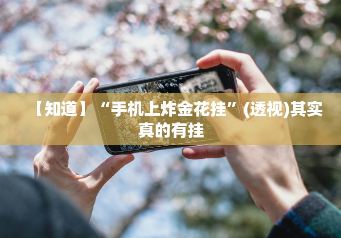 【知道】“手机上炸金花挂”(透视)其实真的有挂