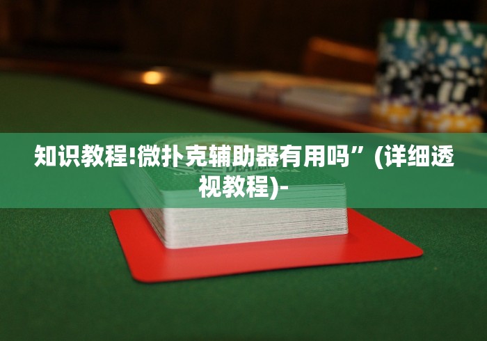 知识教程!微扑克辅助器有用吗”(详细透视教程)-