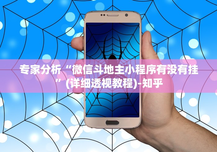 专家分析“微信斗地主小程序有没有挂”(详细透视教程)-知乎