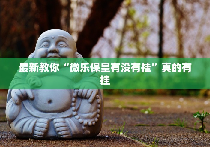 最新教你“微乐保皇有没有挂”真的有挂