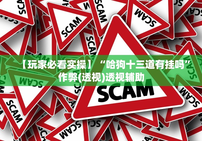 【玩家必看实操】“哈狗十三道有挂吗”作弊(透视)透视辅助