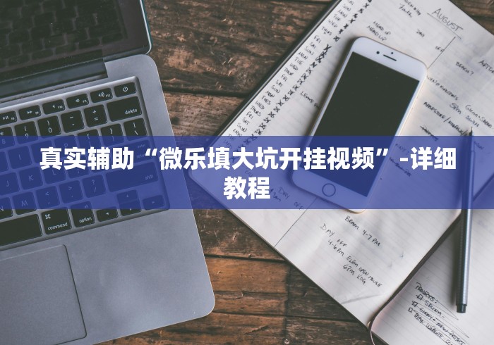 真实辅助“微乐填大坑开挂视频”-详细教程