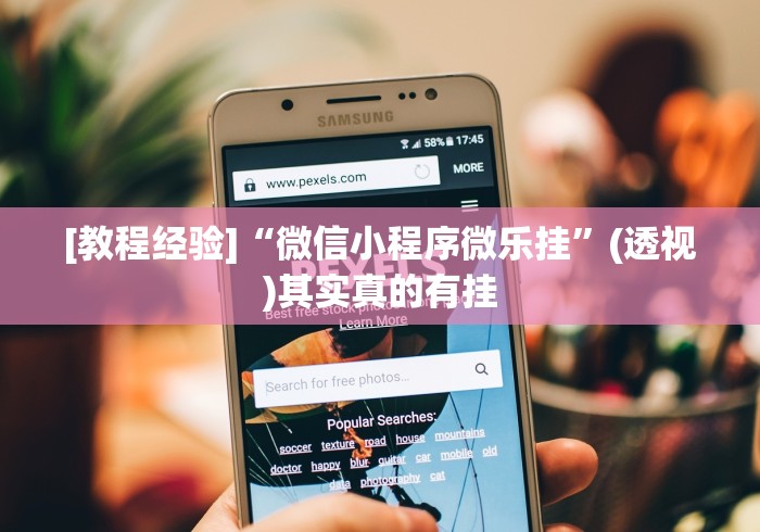 [教程经验]“微信小程序微乐挂”(透视)其实真的有挂