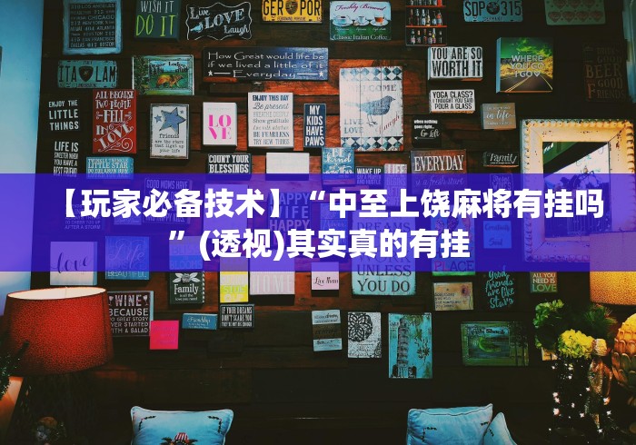 【玩家必备技术】“中至上饶麻将有挂吗”(透视)其实真的有挂