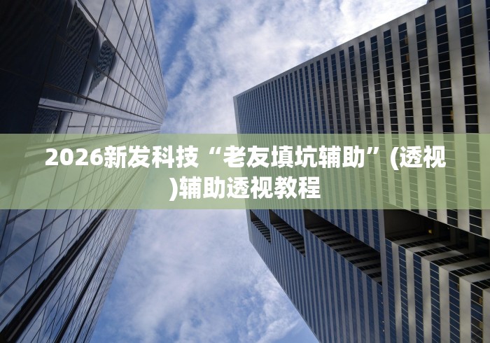 2026新发科技“老友填坑辅助”(透视)辅助透视教程