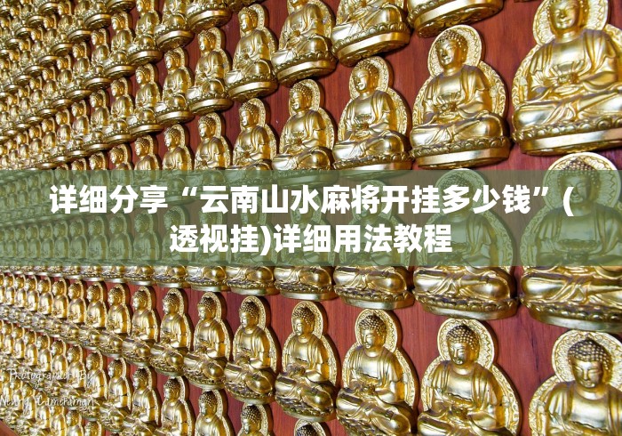 详细分享“云南山水麻将开挂多少钱”(透视挂)详细用法教程