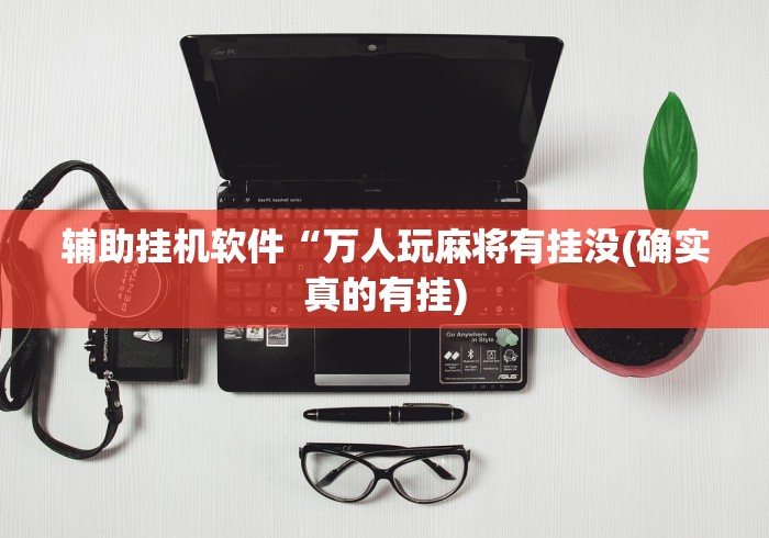 辅助挂机软件“万人玩麻将有挂没(确实真的有挂)