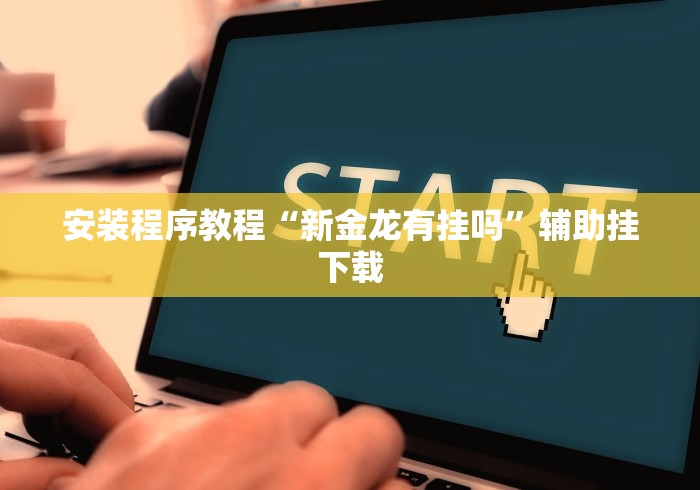 安装程序教程“新金龙有挂吗”辅助挂下载