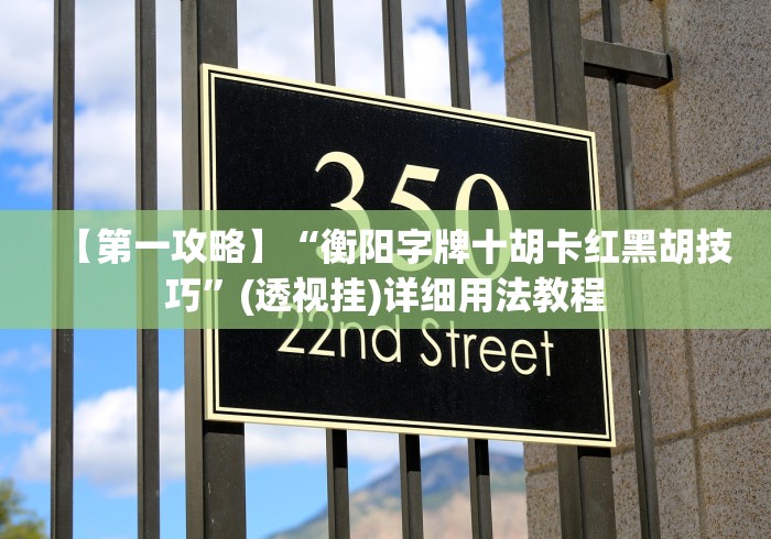 【第一攻略】“衡阳字牌十胡卡红黑胡技巧”(透视挂)详细用法教程